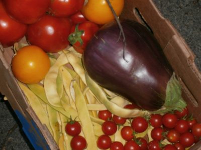Breakfast Table Summer Garden Bounty