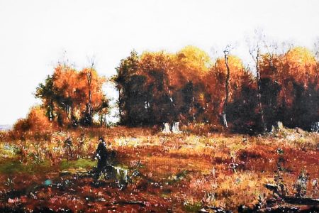 McEntee Landscape Leaf Gatherers