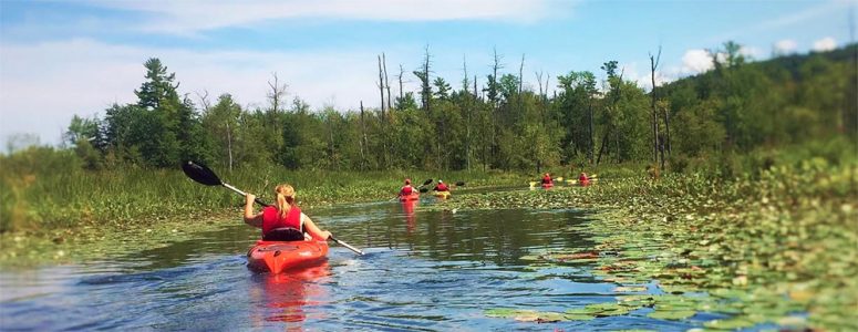 Paddling in Black Creek Marshes