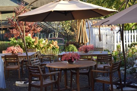 Fall Patio at Dankammer House patio
