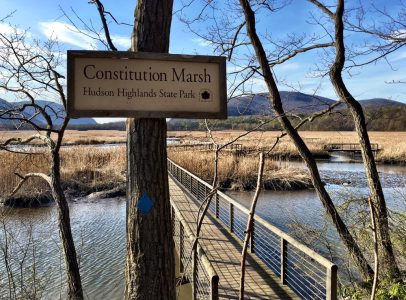 Bird Watching at Constitution Marsh