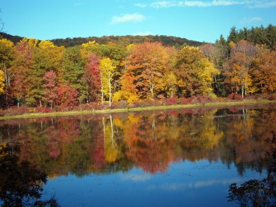 Fall 2016 Fall Foliage Reflections Seven Lakes Drive