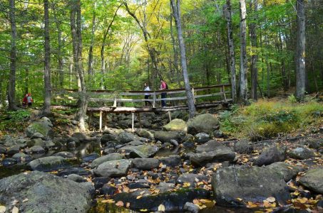 Hiking in Harriman State Park