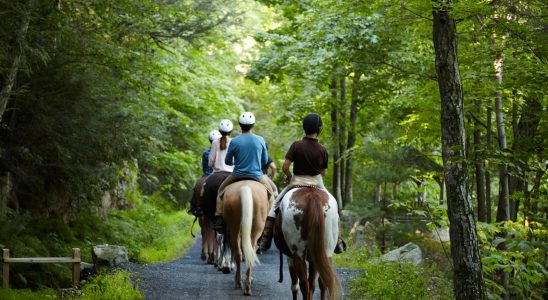 Horseback Riding at Mohonk